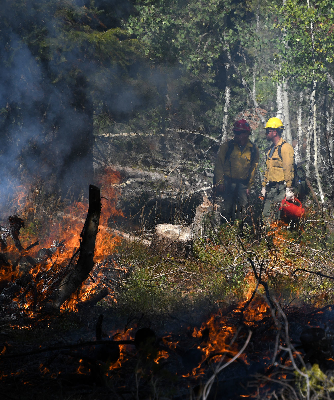 Prescribed burn